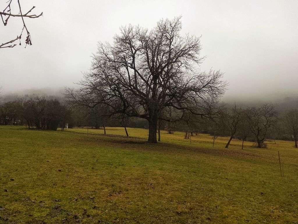 Pravé zimné počasie zatiaľ v nedohľadne