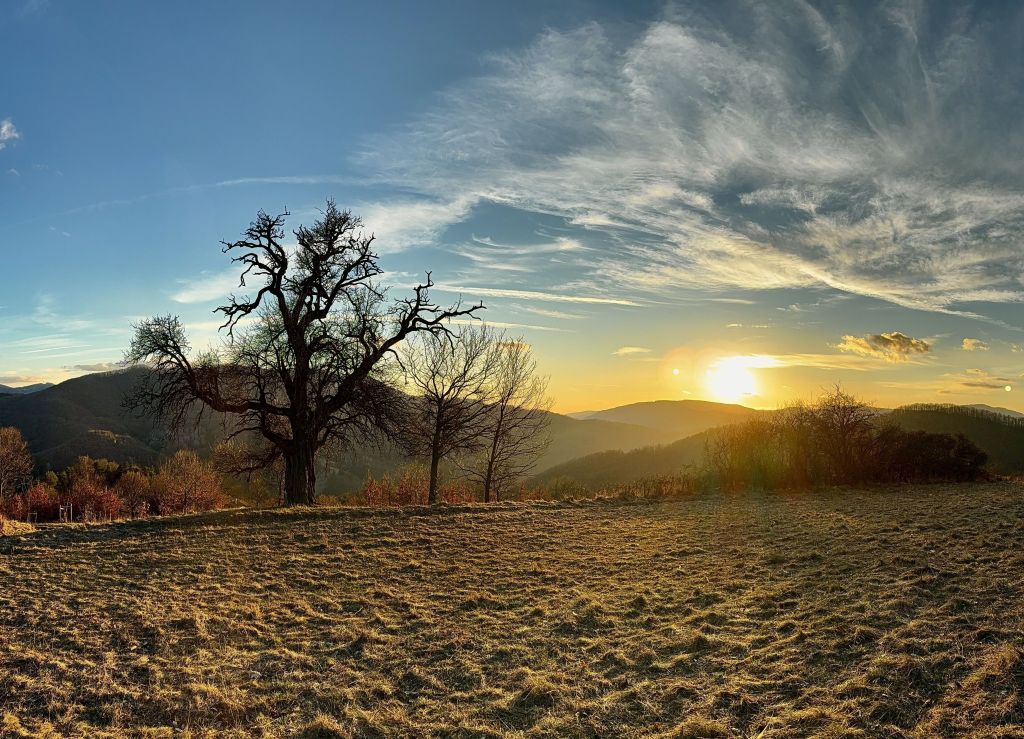 Taký bol február 2026