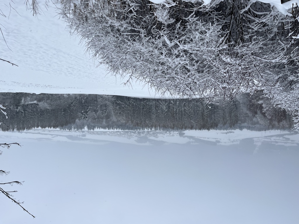 V úvode týždňa ďalšie sneženie