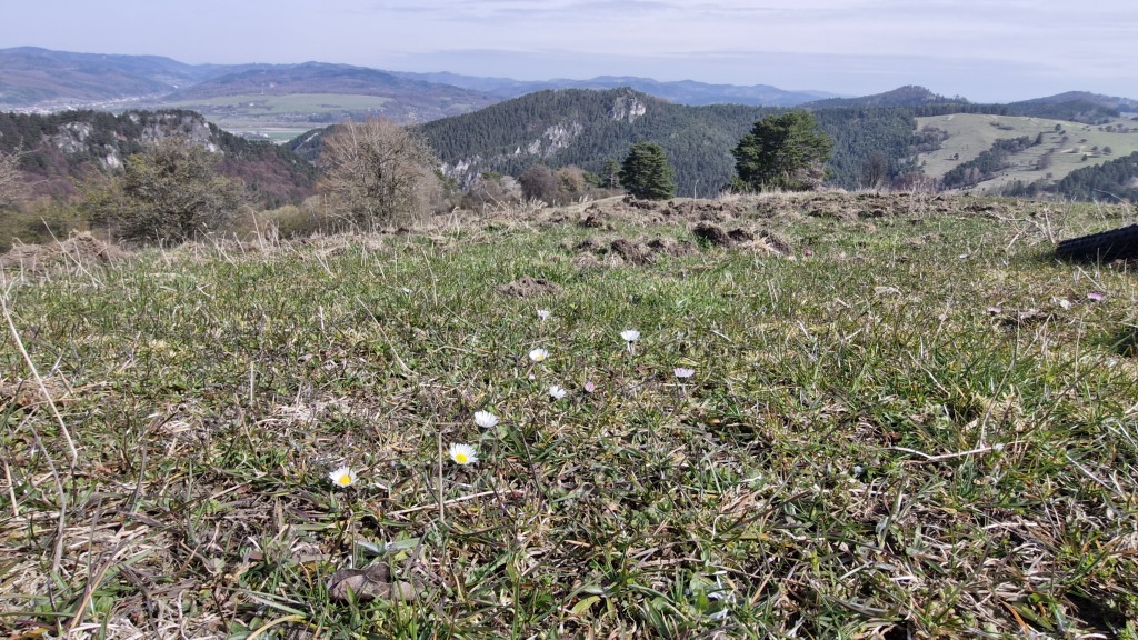 Vo štvrtok možnosť na búrku