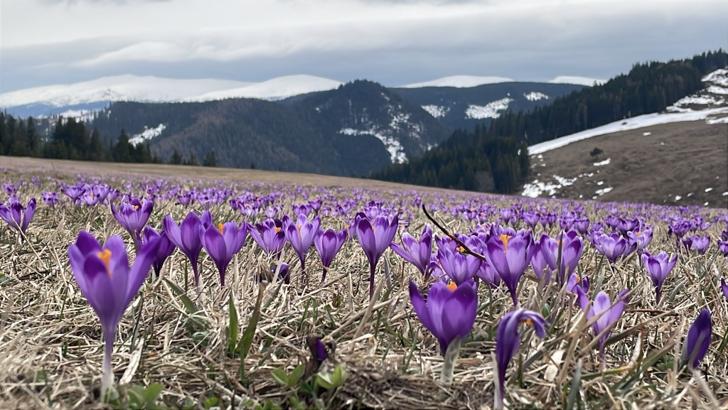 Najskôr teplo, potom ochladenie