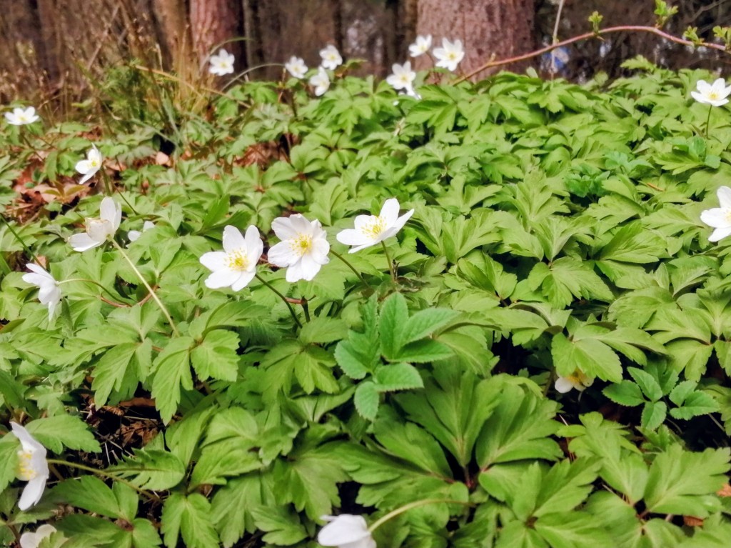 V stredu je nádej aj na čiastočne zmenšenú oblačnosť