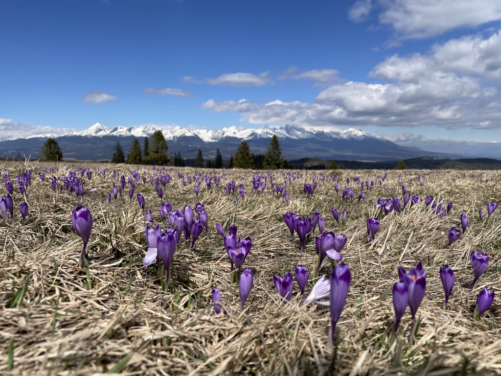 V nedeľu o pár °C viac